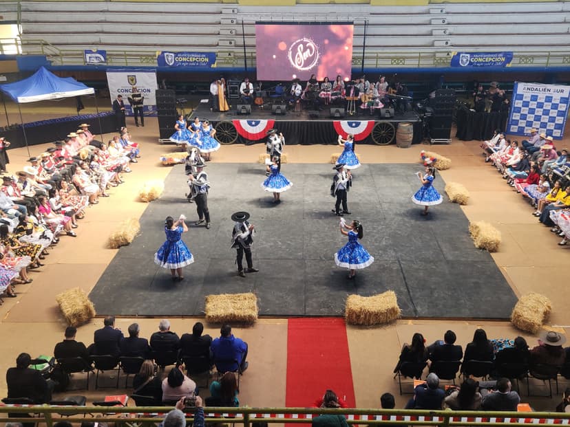96 estudiantes de diversos puntos de la región dieron vida y color a la Cuadragésima Cuarta Muestra de Cueca Escolar del Biobío, en el Gimnasio Municipal de Concepción.
